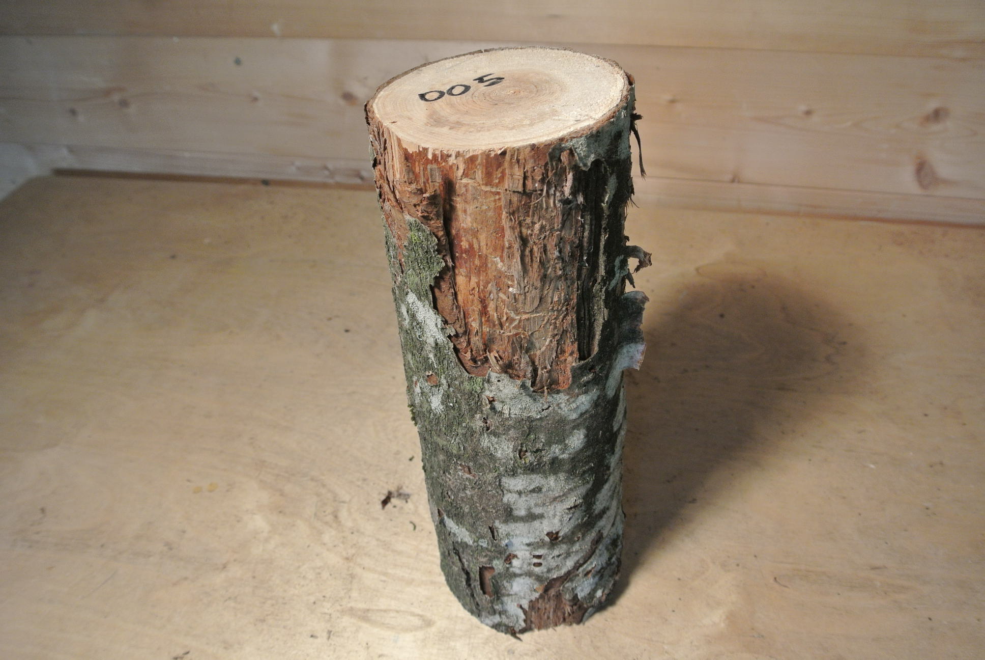 Eberesche Stammabschnitt 300mm lang DM 10cm lt. Abb.