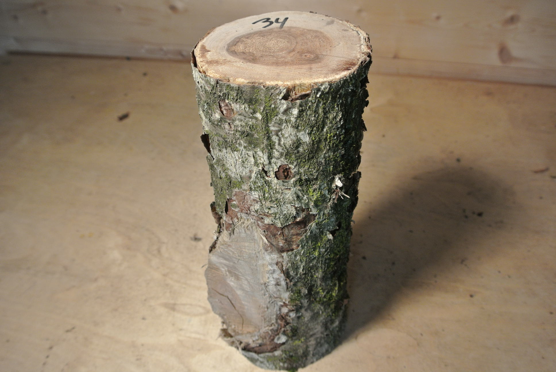Eberesche Stammabschnitt 300mm lang DM 9cm lt. Abb.