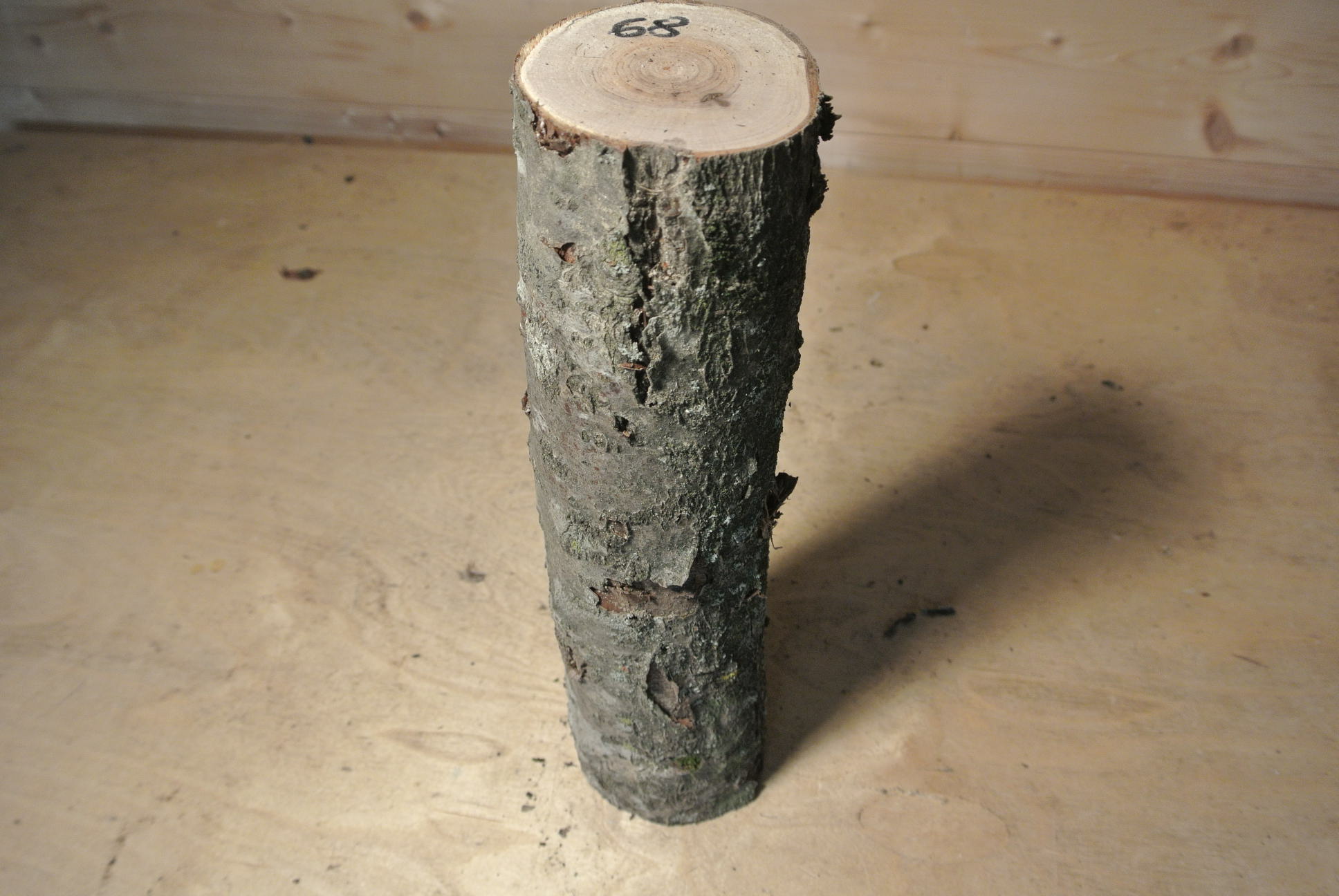 Eberesche Stammabschnitt 300mm lang DM 7cm lt. Abb.