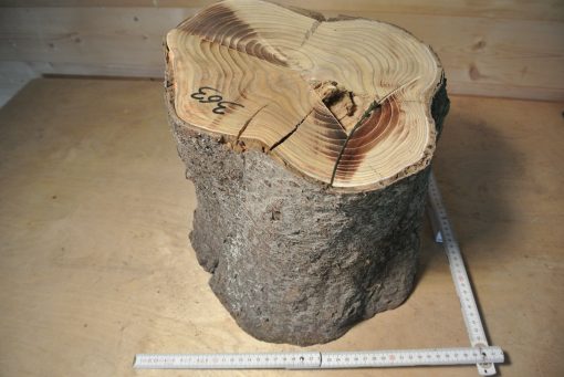 Essigbaum Stammabschnitt 300mm lang DM 20-25cm t. Abb.