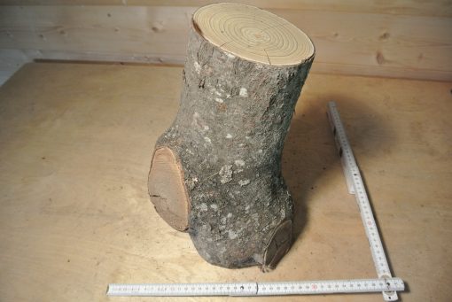 Essigbaum Stammabschnitt 300mm lang DM 16cm t. Abb.
