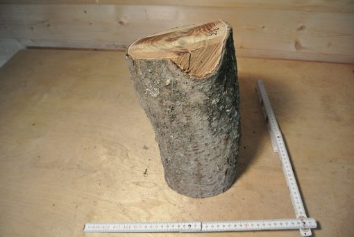 Essigbaum Stammabschnitt 300mm lang DM 16cm t. Abb.