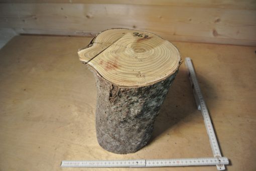 Essigbaum Stammabschnitt 270mm lang DM 16cm t. Abb.
