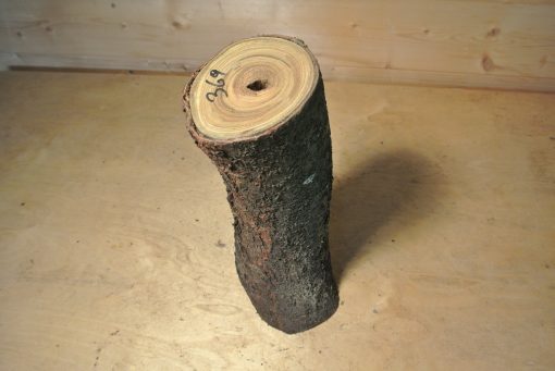 Essigbaum Stammabschnitt 300mm lang DM 9cm t. Abb.