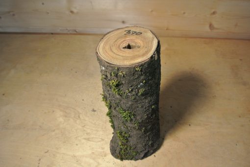 Essigbaum Stammabschnitt 300mm lang DM 9cm t. Abb.