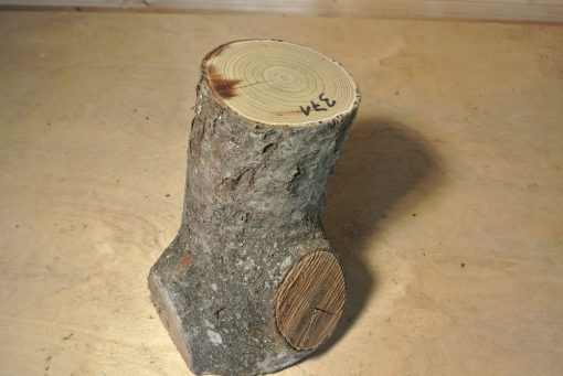 Essigbaum Stammabschnitt 300mm lang DM 11cm t. Abb.
