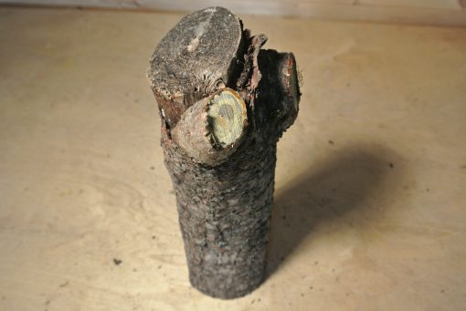 Essigbaum Stammabschnitt 300mm lang DM 7cm t. Abb.