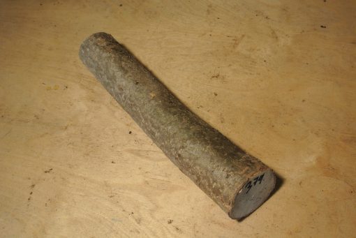 Ginko Stammabschnitt 300mm lang DM 6cm t. Abb.