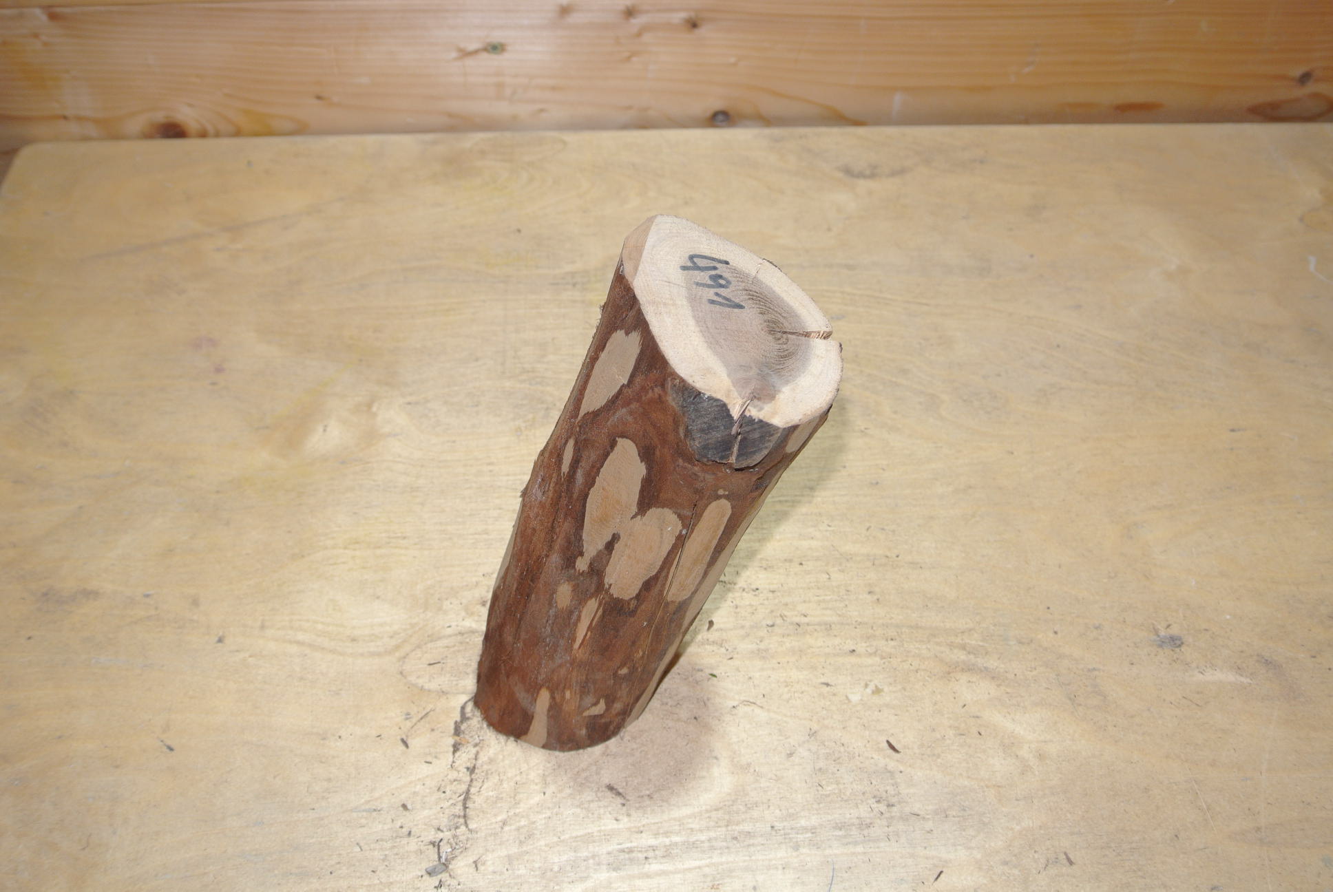 Zwetschke Stammabschnitt 200mm lang DM 6cm lt. Abb.