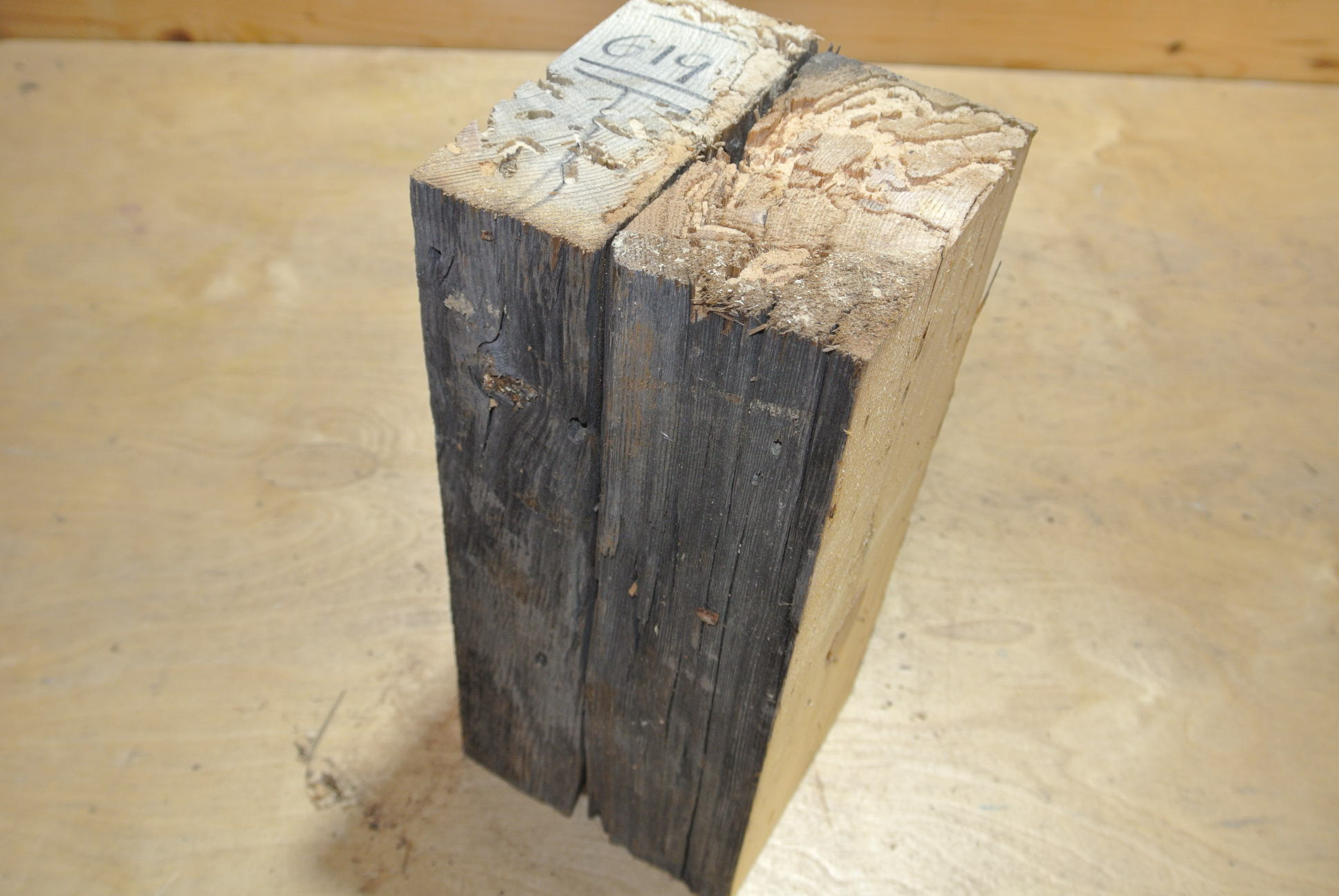 Altholz Kantel 300mm lang 120x120mm lt. Abb.
