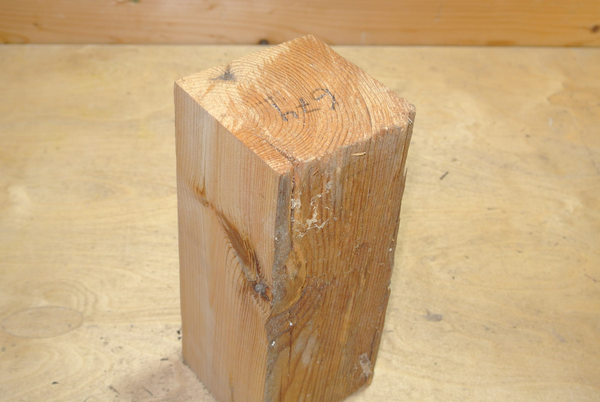 Altholz Kantel 200mm lang 100x100mm lt. Abb.