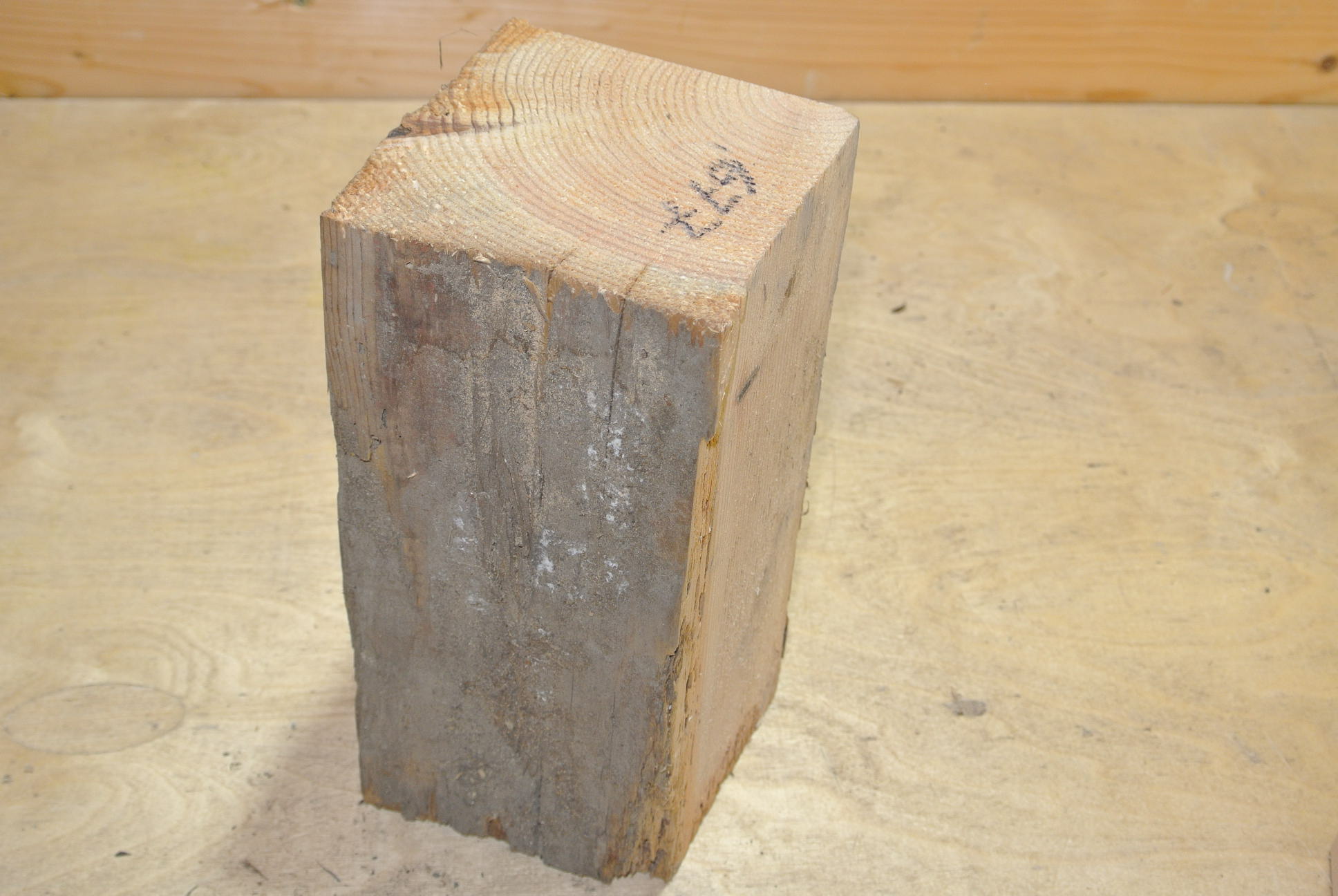 Altholz Kantel 200mm lang 100x100mm lt. Abb.
